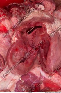 Photo Textures of RAW Pork Viscera